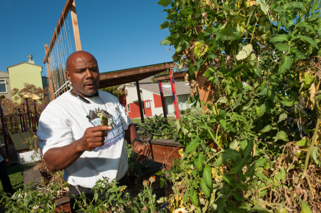 Working in the garden made Anthony think about growing up and being responsible.