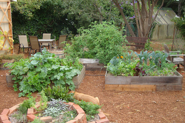 Formerly incarcerated men in the Transform Your Yard jobs program have built more than 80 edible gardens.