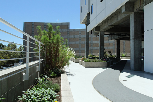 The outdoor space creates a safe environment where people can experience the elements very differently than they did prior to receiving housing.