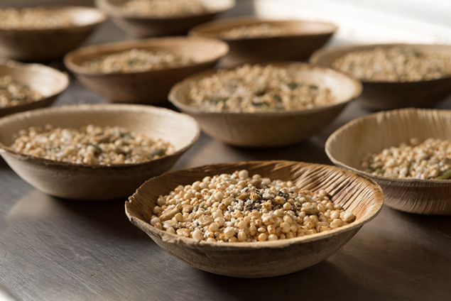 Some of Chef Maria's indigenous ingredients.